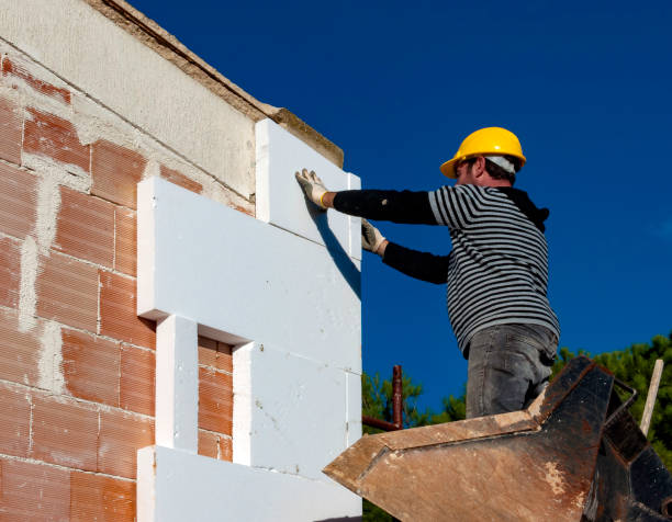 Best Cellulose Insulation  in Huntersville, NC