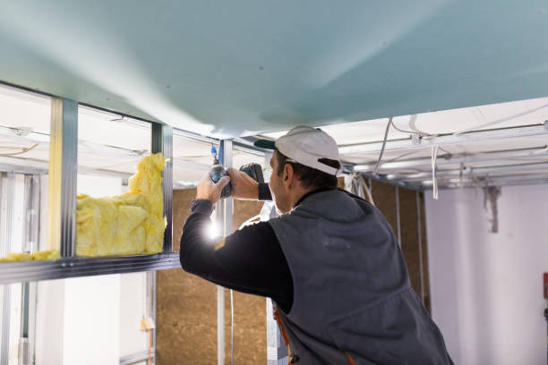 Best Garage Insulation Installation  in Huntersville, NC
